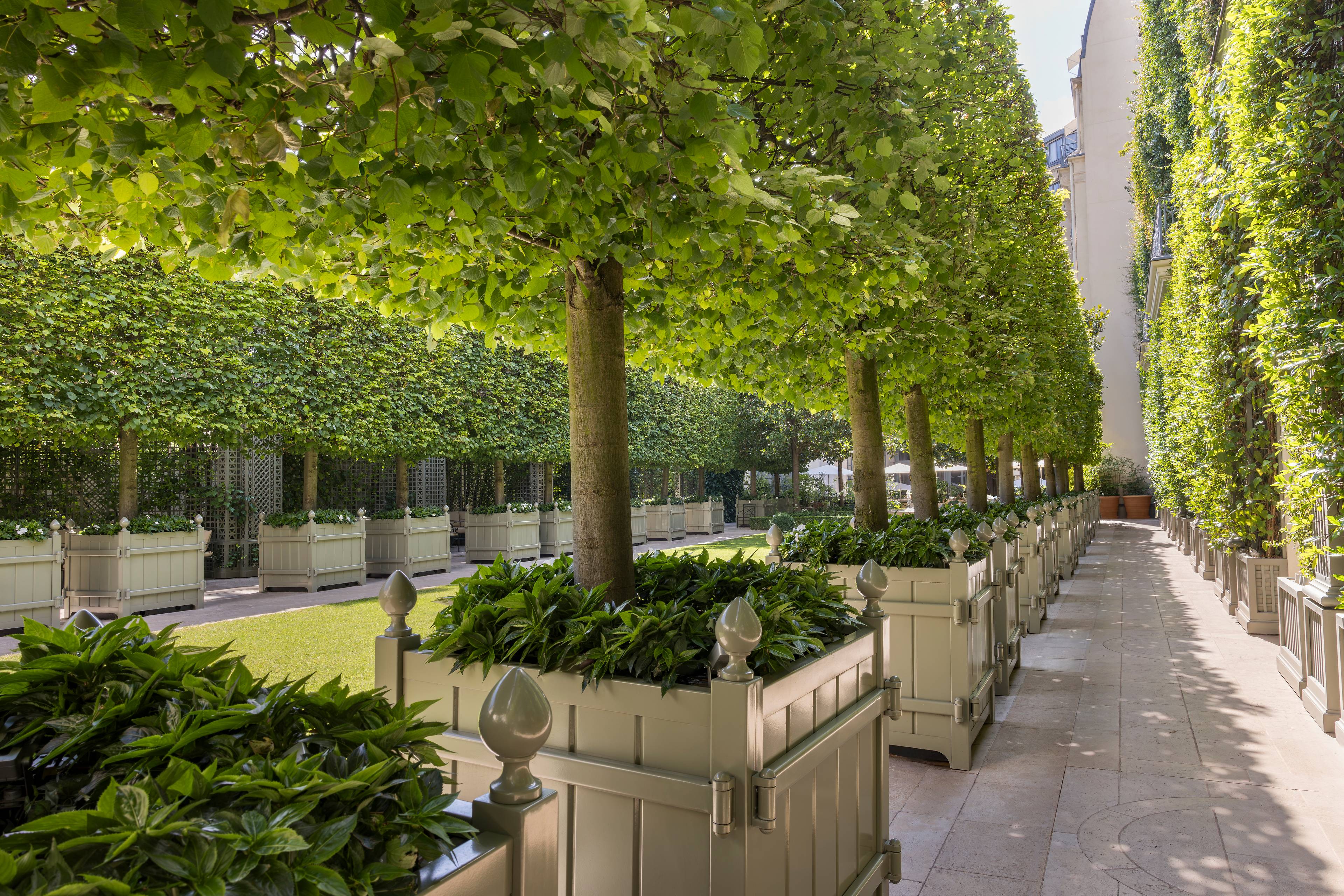 Vue d'ensemble du Grand Jardin au Ritz Paris