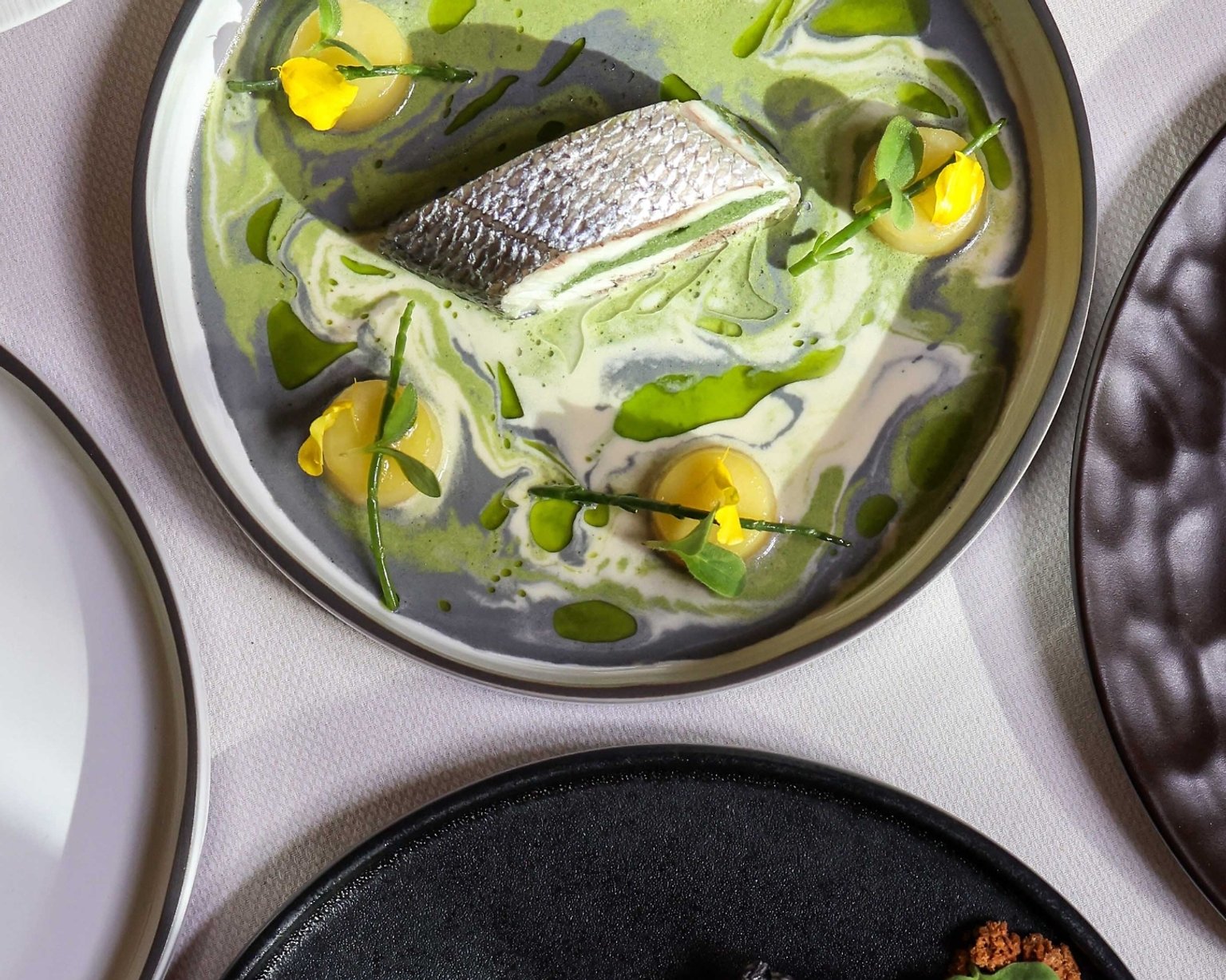 Assiettes colorées avecdes plats de saison