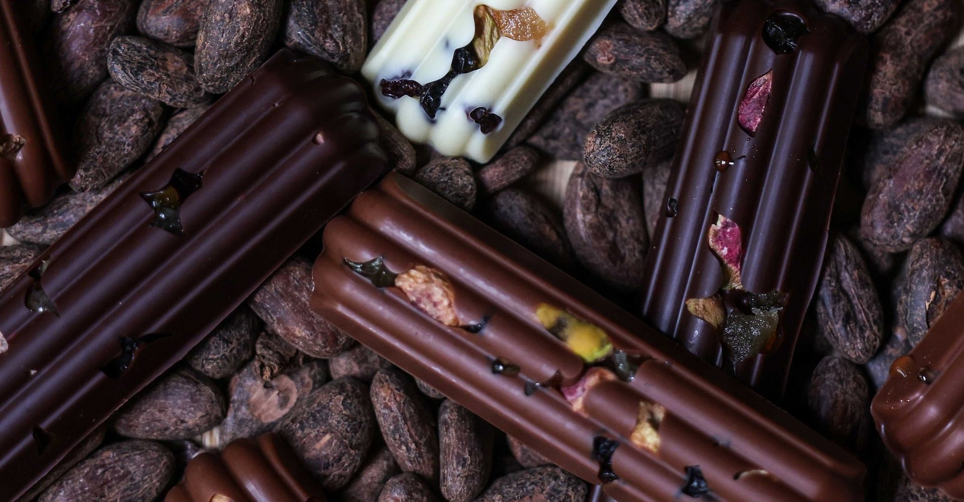 Chocolate Christmas log for children