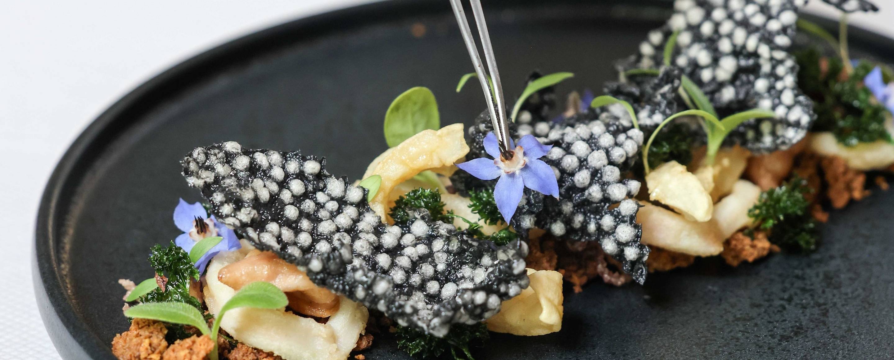 Seafood on a buckwheat and Espelette pepper crumble